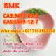 BMK powder bmk oil 5413-05-8 5449-12-7